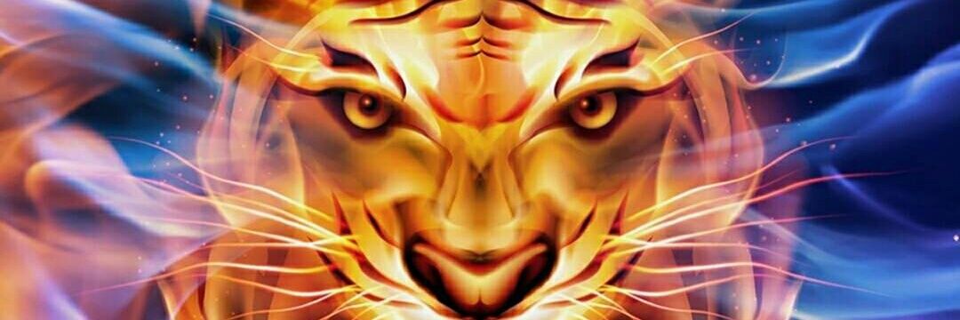 zenk_lord's profile banner image