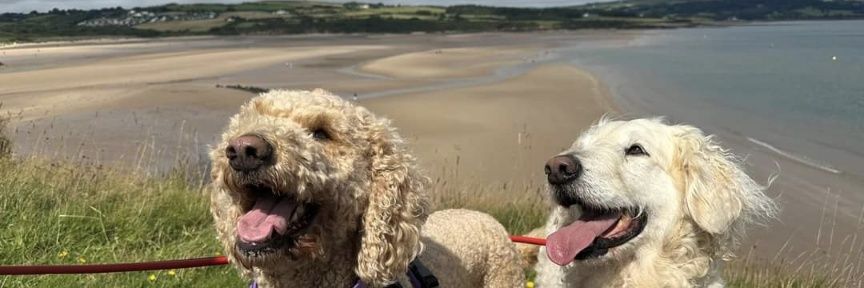 Harriet Fowler banner
