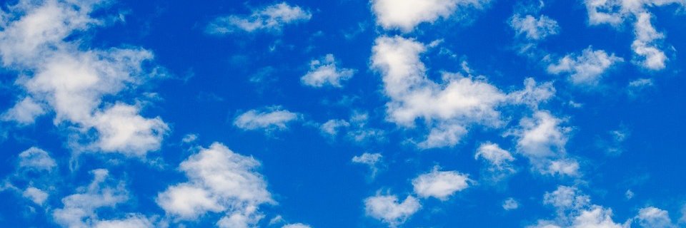 PacilioEleonora's profile banner image