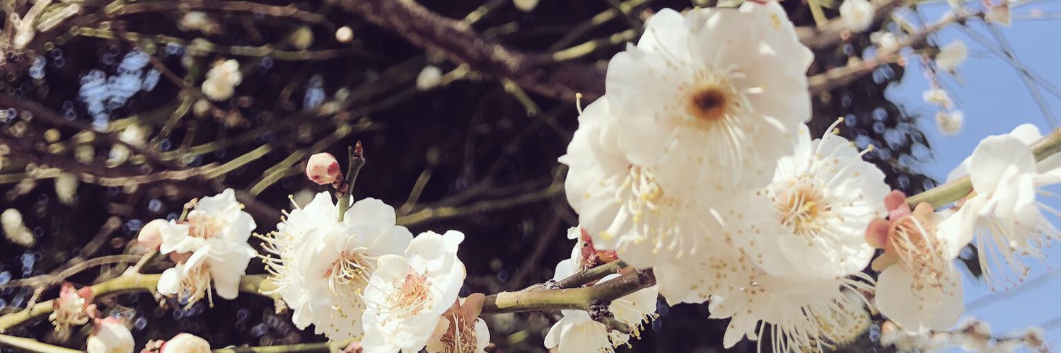 yuchi_s's profile banner image