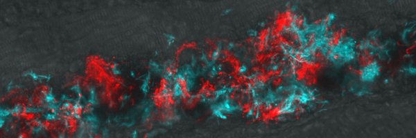 RamakrishnanLab Profile Banner