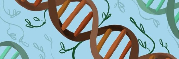 sduarrir Profile Banner