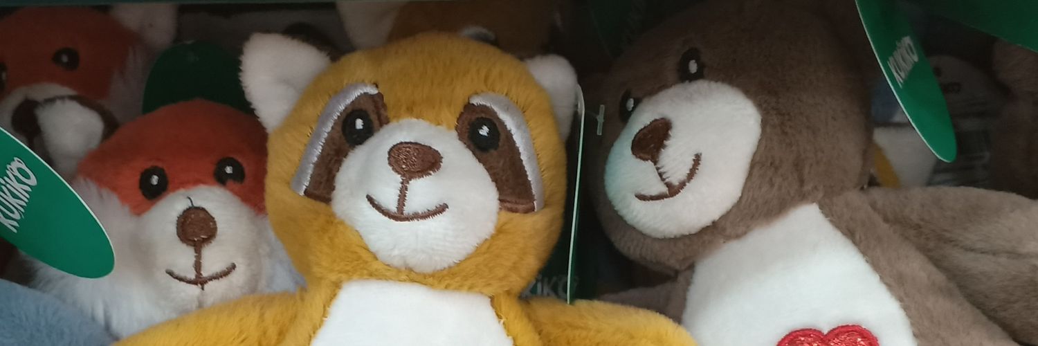 riel_flnt's profile banner image