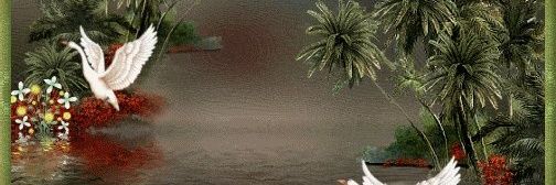 جنات علي الطائي banner