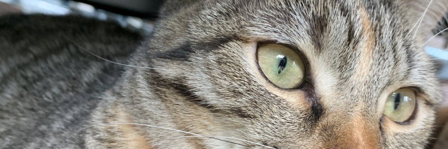 dummypiero's profile banner image