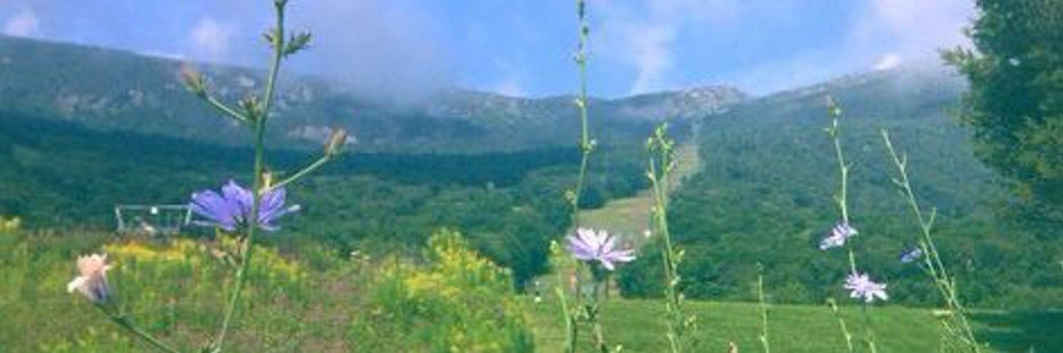 leana ー ♡ banner