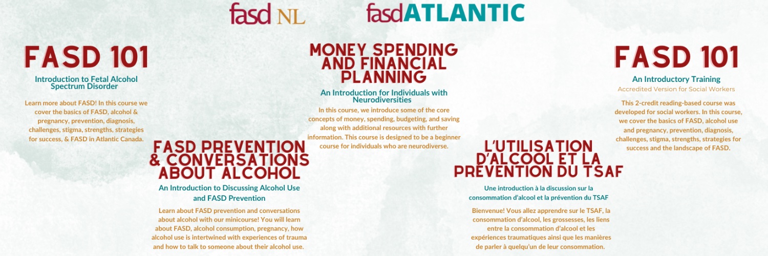fasdNL Team banner