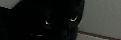 melsteffen_'s profile banner image