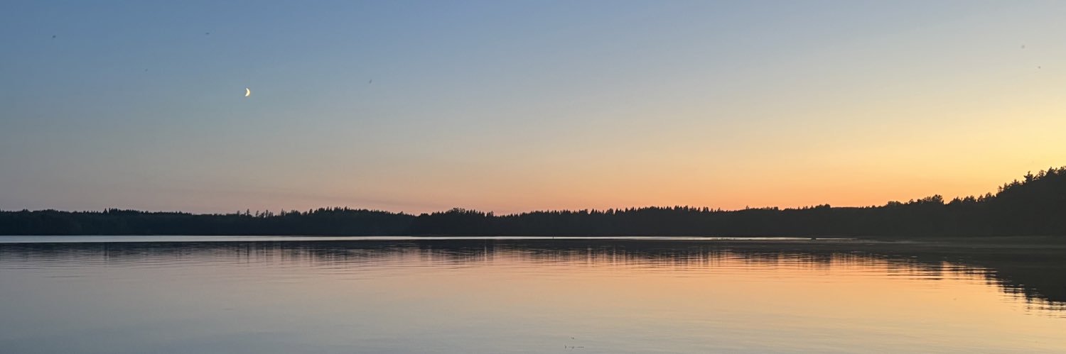 Juuso Liekkilä's banner