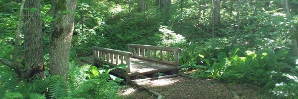 lovesydbarrett Profile Banner