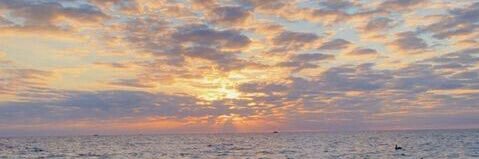 MonerValentina's profile banner image