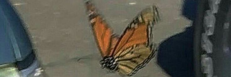 Pk banner