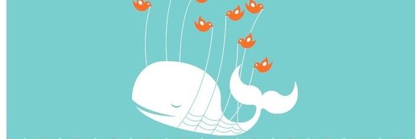 limerickblog Profile Banner