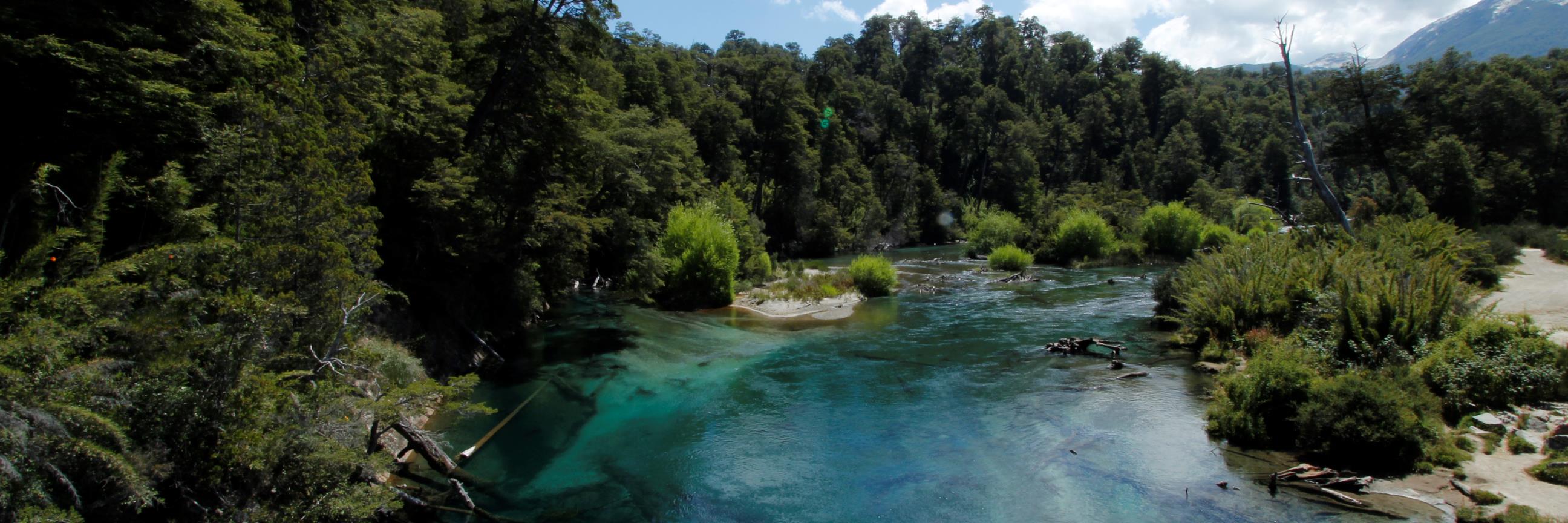 Jen 🇦🇷🐱🦆🦁📏✂️🫶🏻🏆⭐️⭐️⭐️ banner