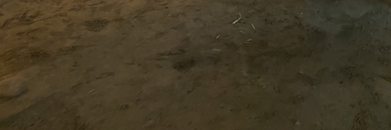 えとがゃる banner