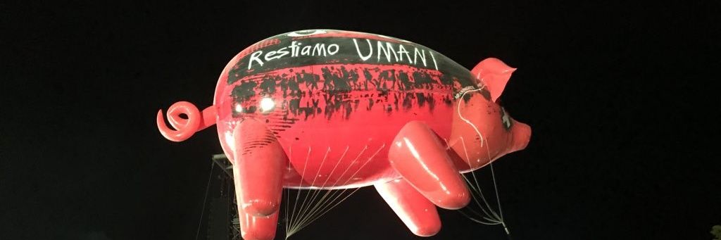 ziusco's profile banner image
