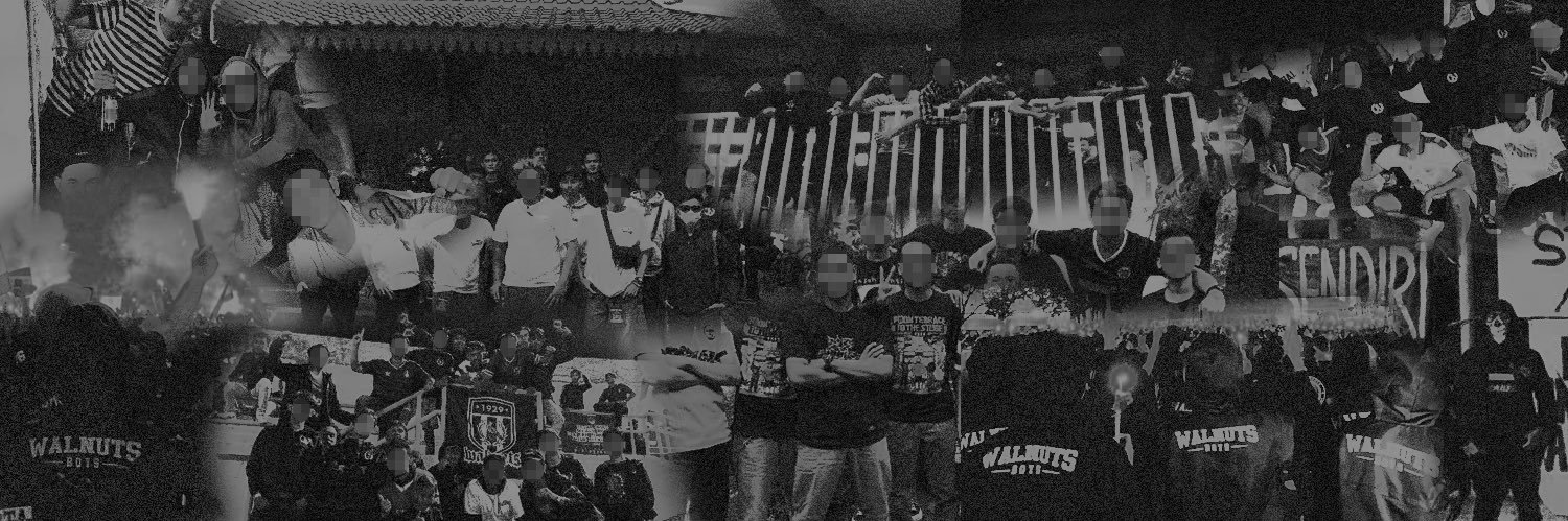 WALNUTS BOYS banner