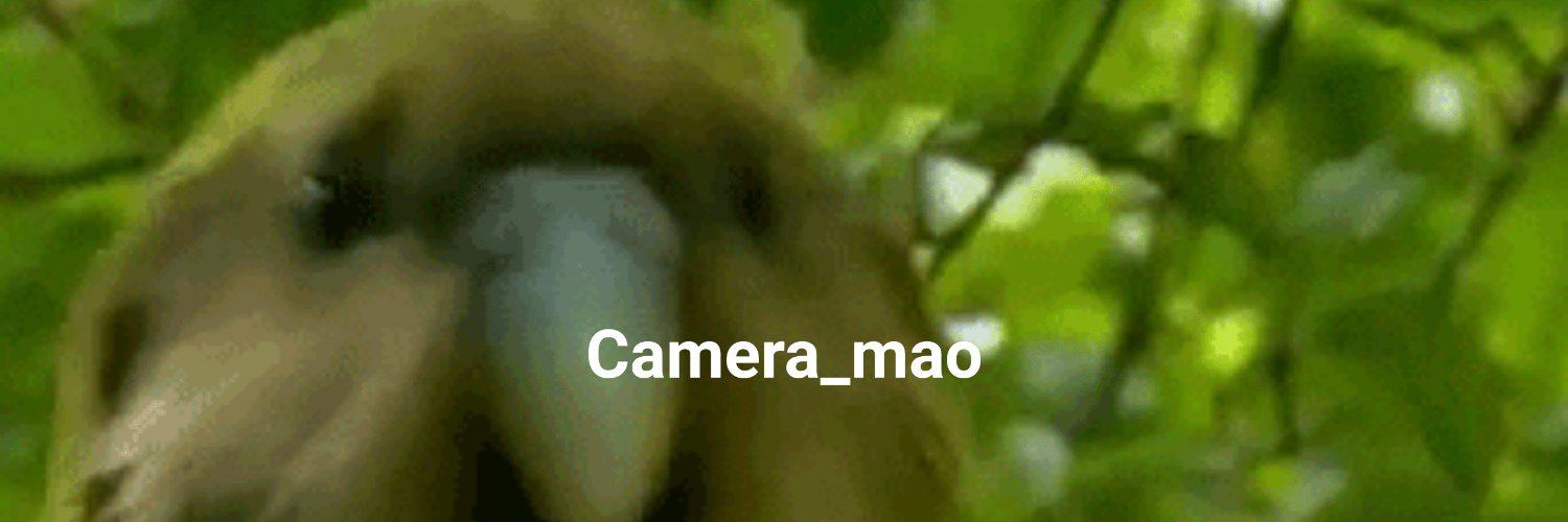 Camera_Mao banner