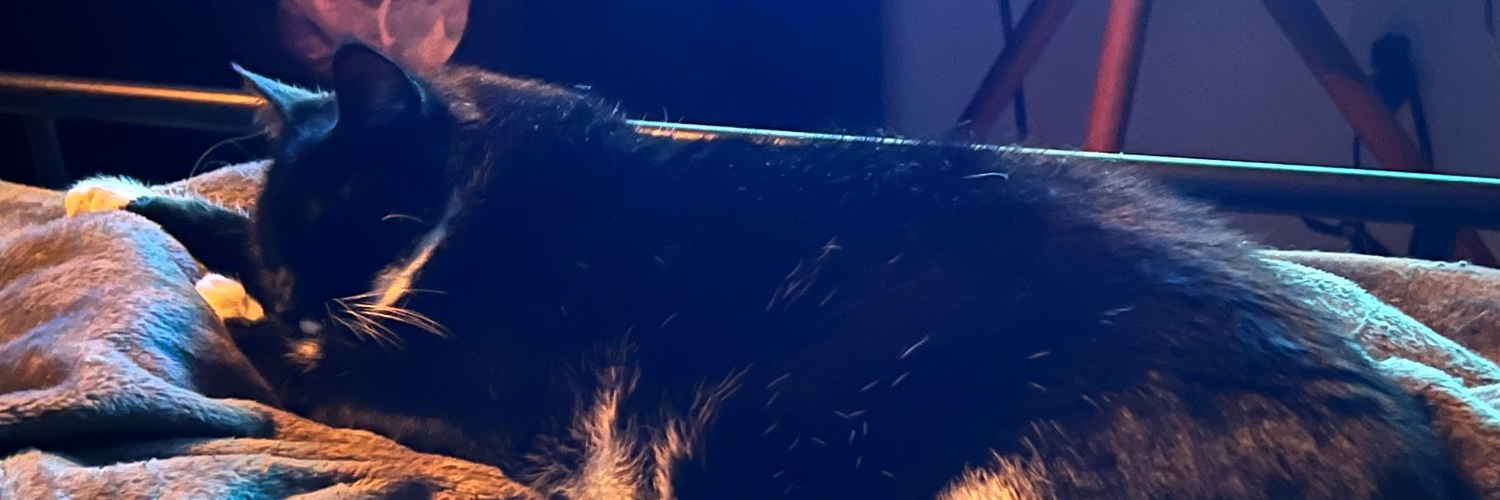 LilithByTheSea's profile banner image