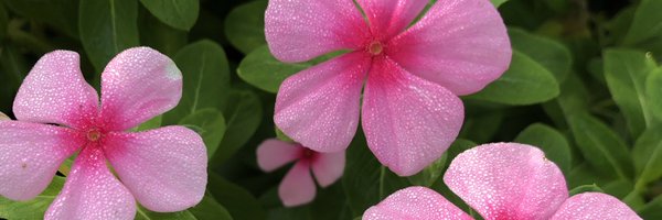 DeborahCitrin Profile Banner