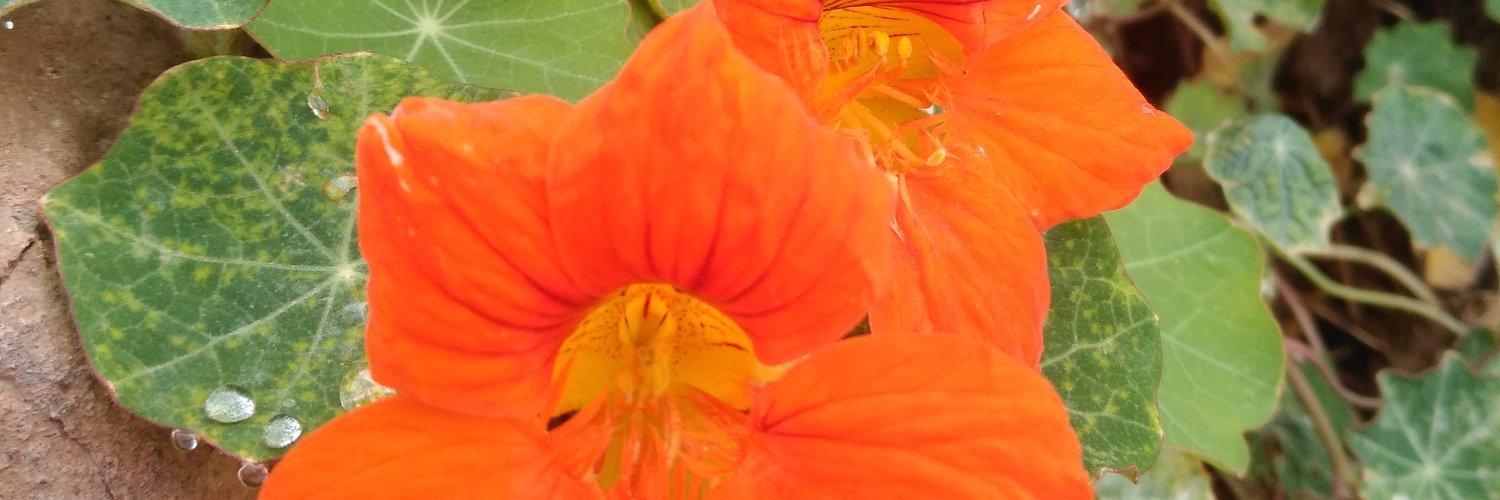 B347r15's profile banner image