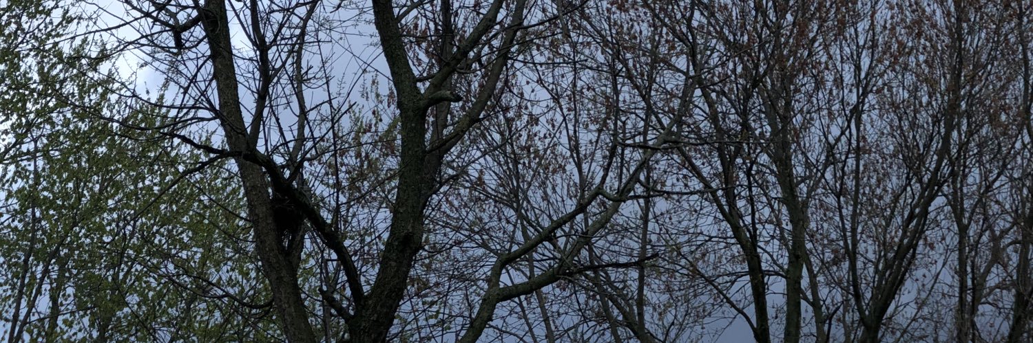 Evelina River banner