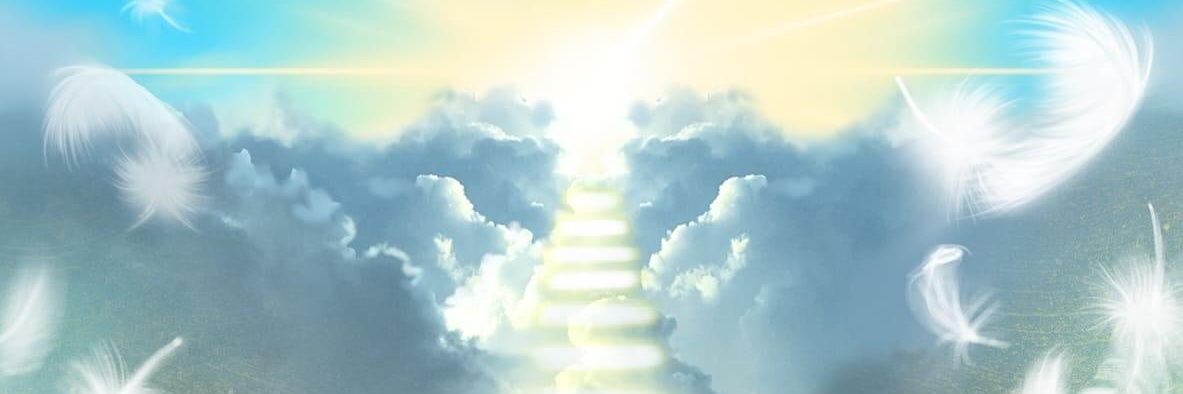 ⋆̩꒰ঌNATSUKI✞KOYAMA໒꒱· banner