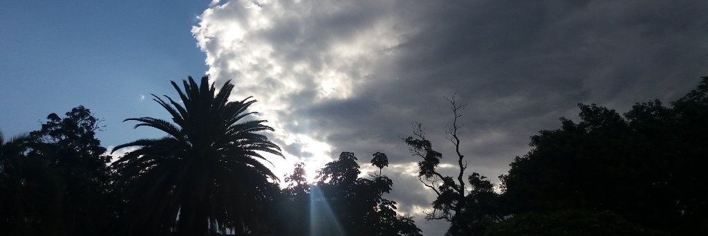 EmilyMuwowo's profile banner image