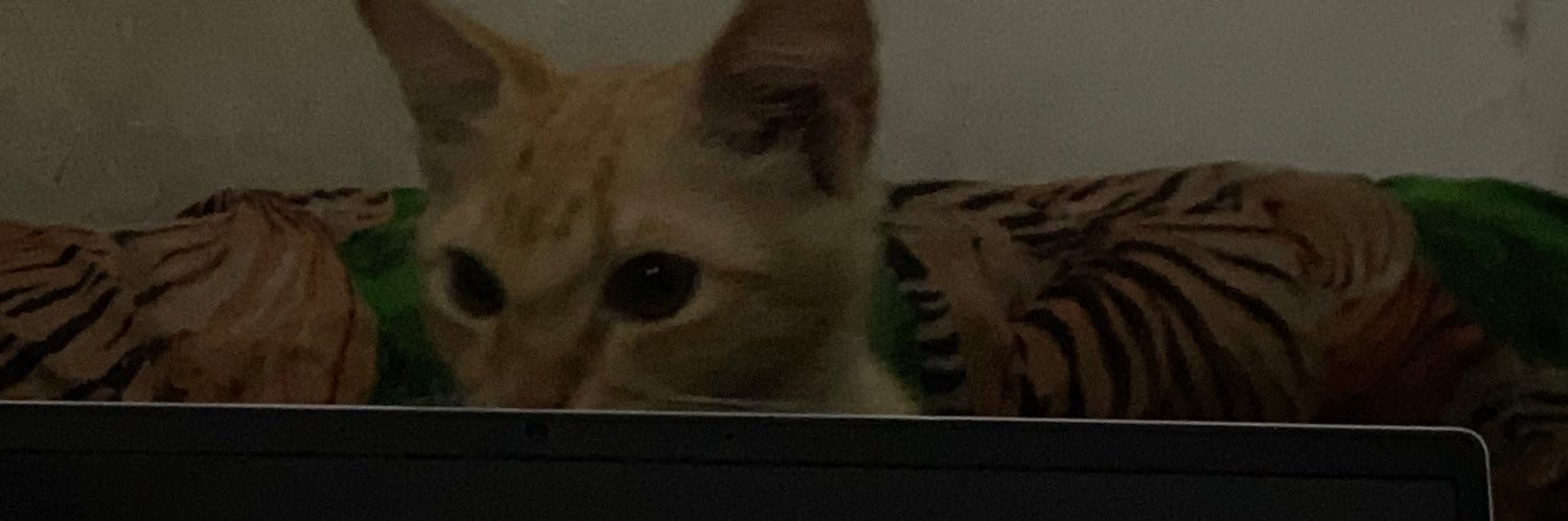 panggil aja jo banner