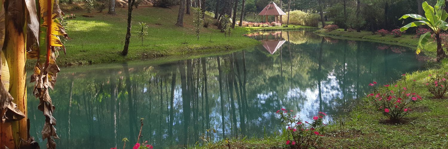 Becky 🌸🐞💜 banner