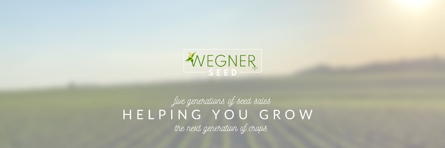 WegnerSeed's profile banner image