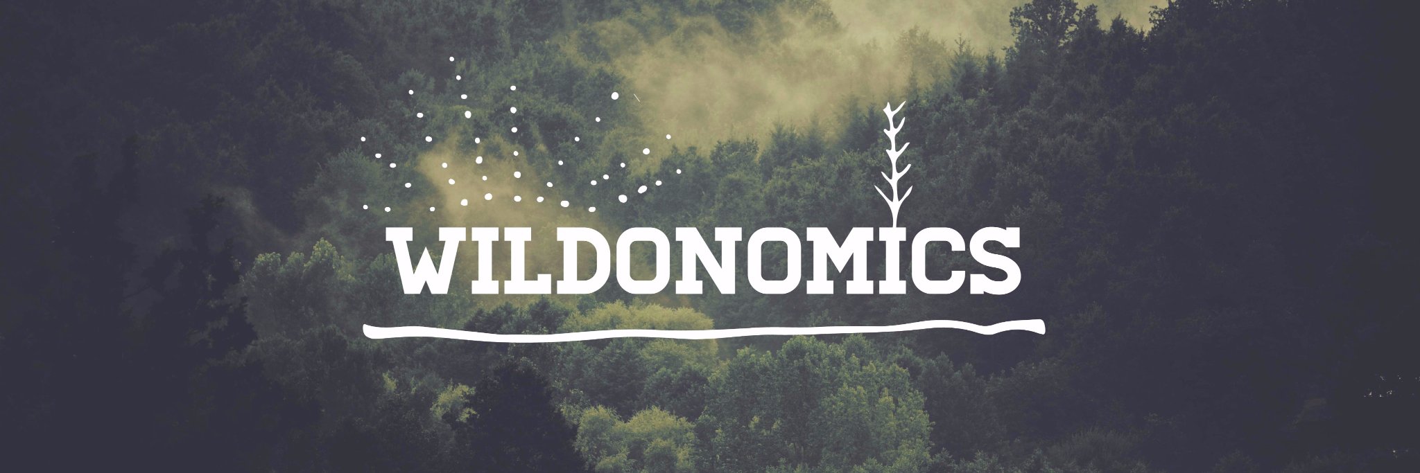 Wildonomics's profile banner image