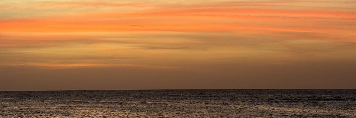 alvnns's profile banner image