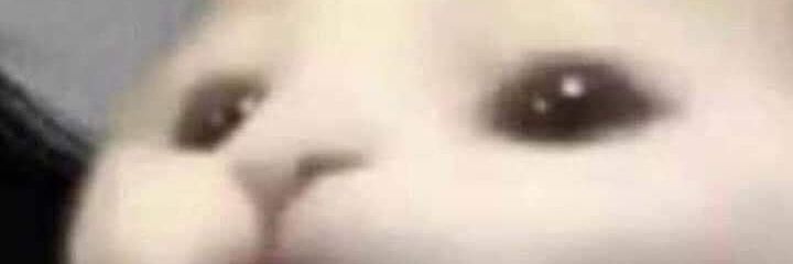 TCRGGTR13's profile banner image