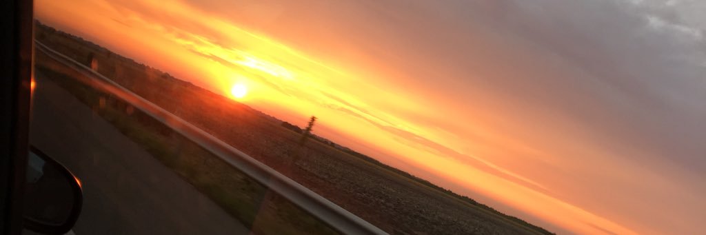 gabozz11's profile banner image