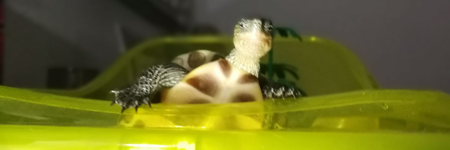 ercompletito's profile banner image
