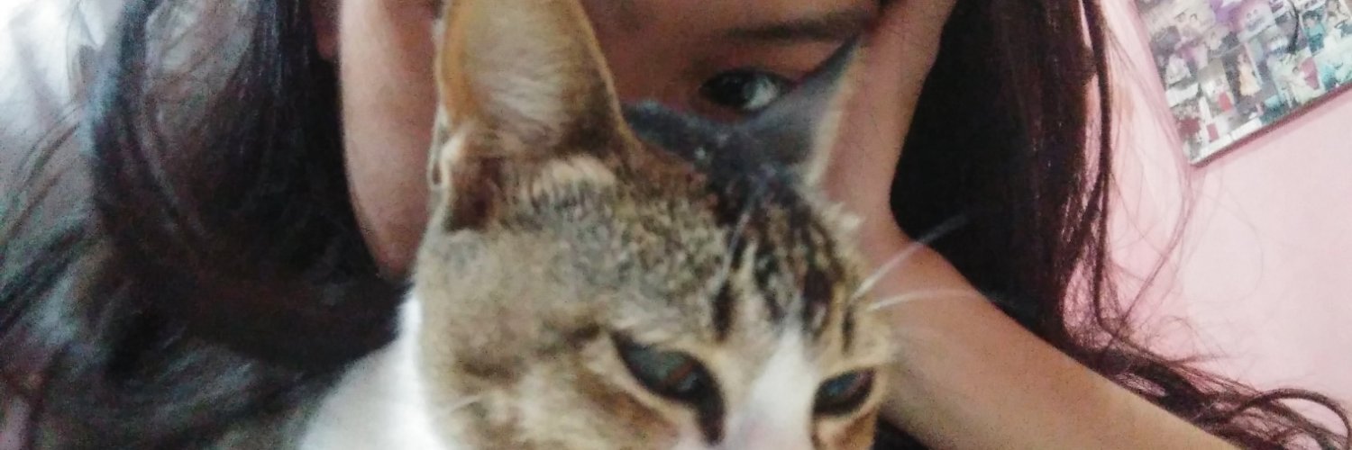imwondermemi's profile banner image