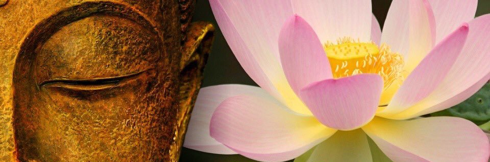 sithababy's profile banner image