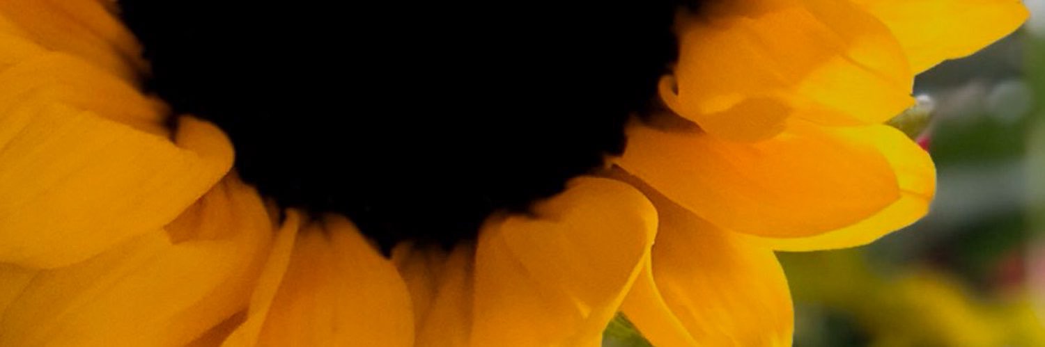 shibu222's profile banner image