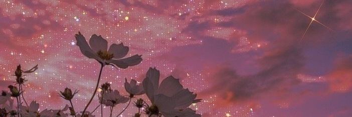 RubyRosePastel's profile banner image