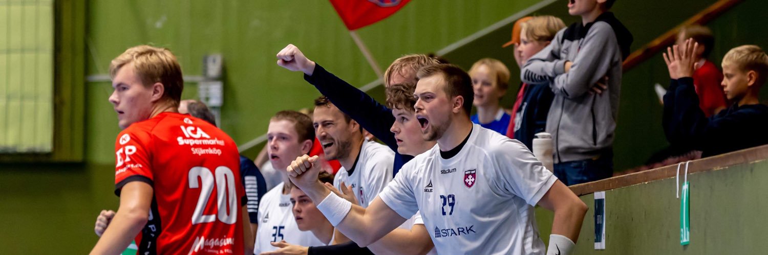 Hannes svanelid banner