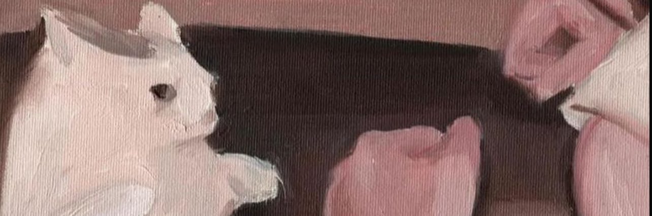 alan_rodzz's profile banner image