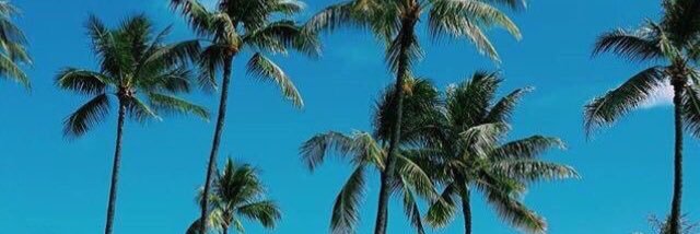 gugmaoy's profile banner image