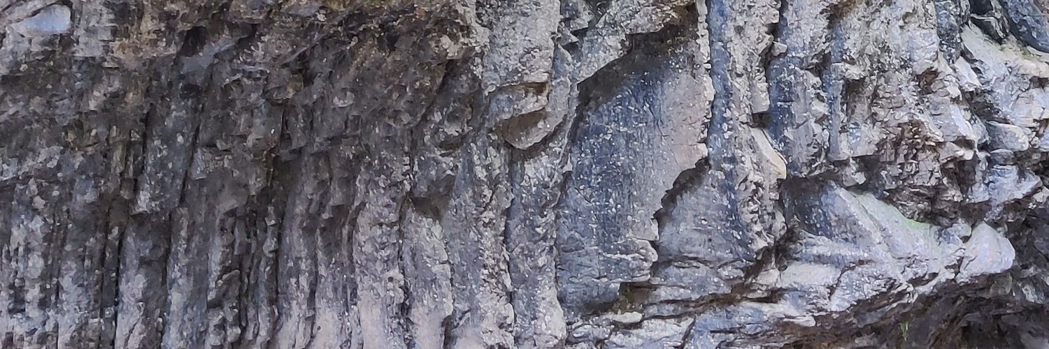 t.chen banner