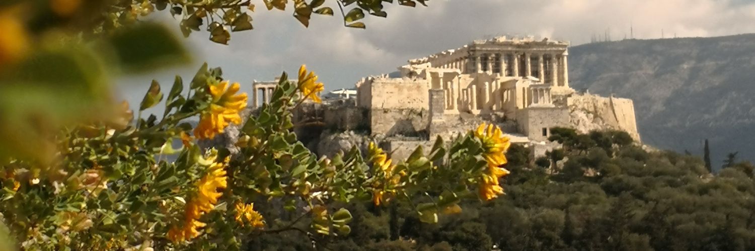 George Meneshian banner