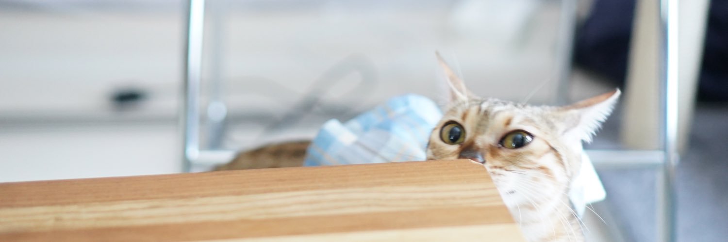 Hqzel_nuts's profile banner image