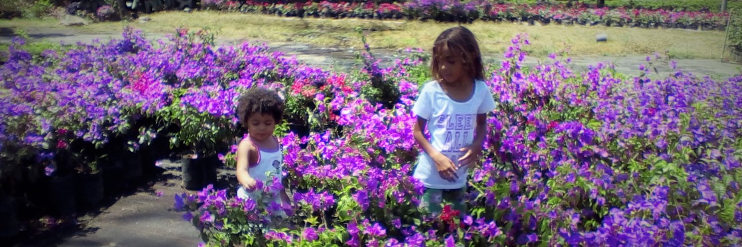 Indasa Butler banner