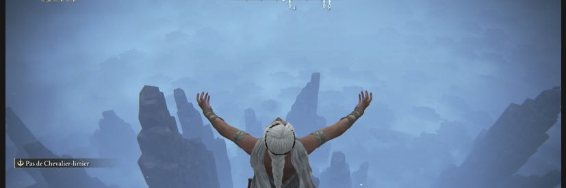 Vagabonde banner