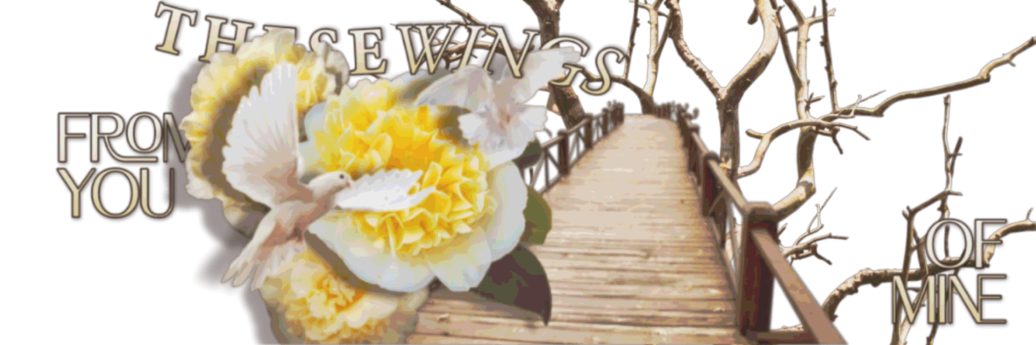 ︎ ︎ ︎ ︎ ︎𝑺INCERELY， 𝑵UEL. banner