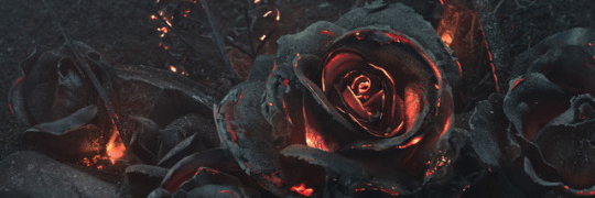 virag95's profile banner image